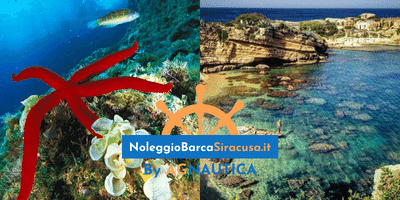 Escursione in barca Plemmirio